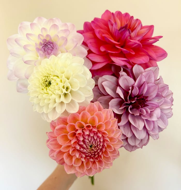 Seasonal Bouquet image