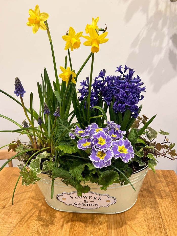 Planters image