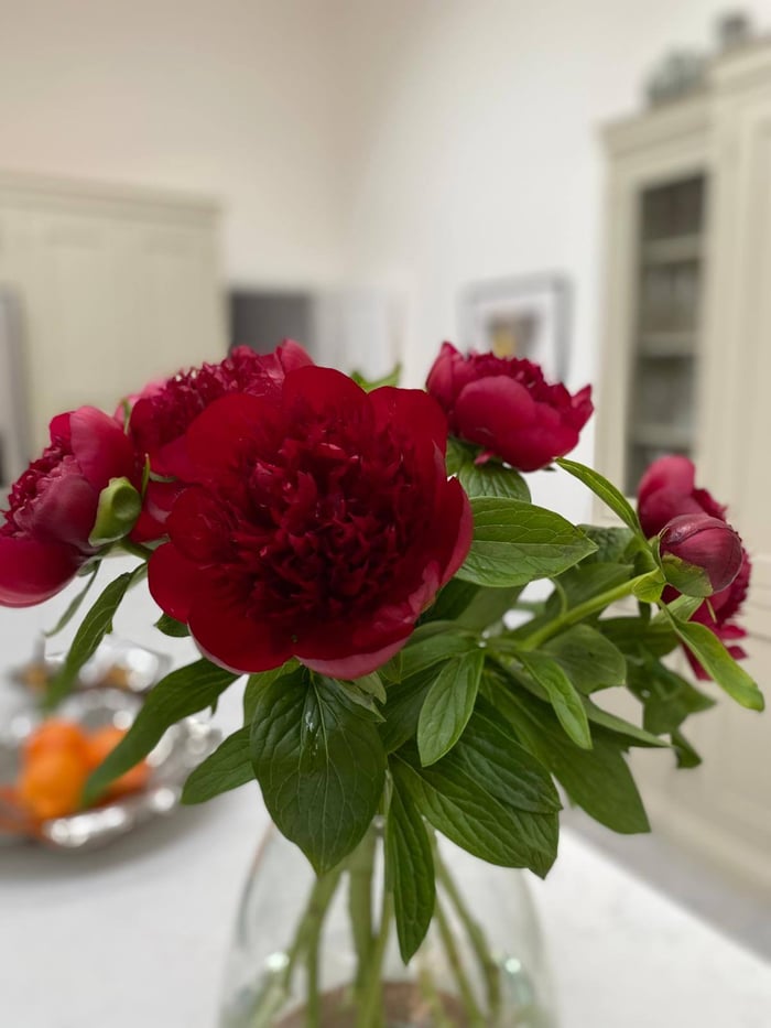 Flower Subscription image